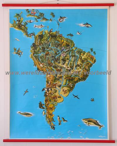 wandkaart schoolkaart schoolplaat