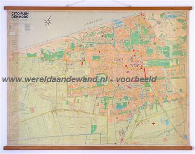wandkaart schoolkaart schoolplaat van Den Haag